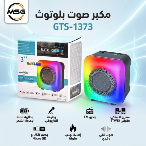 مكبر صوت GTS-1373